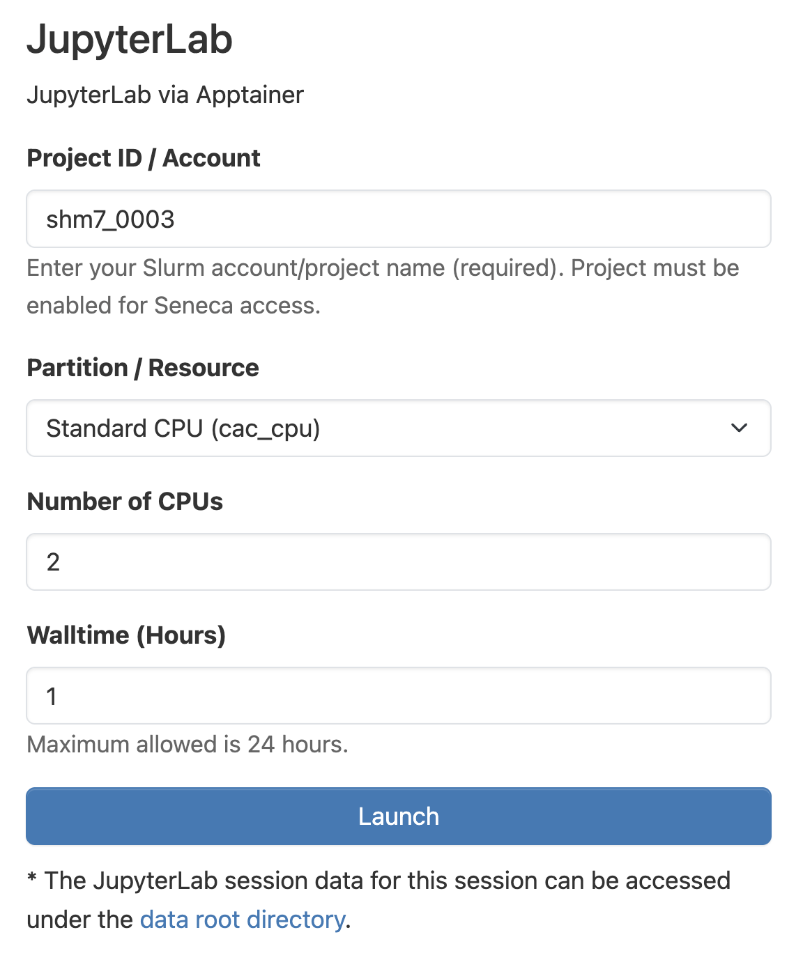 JupyterLab Launch Form