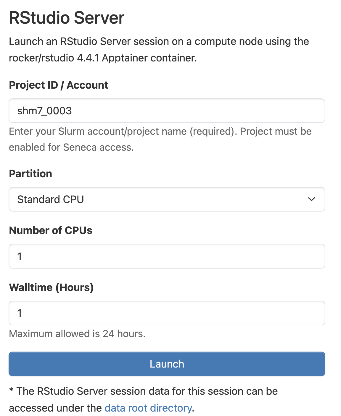 RStudio Launch Form