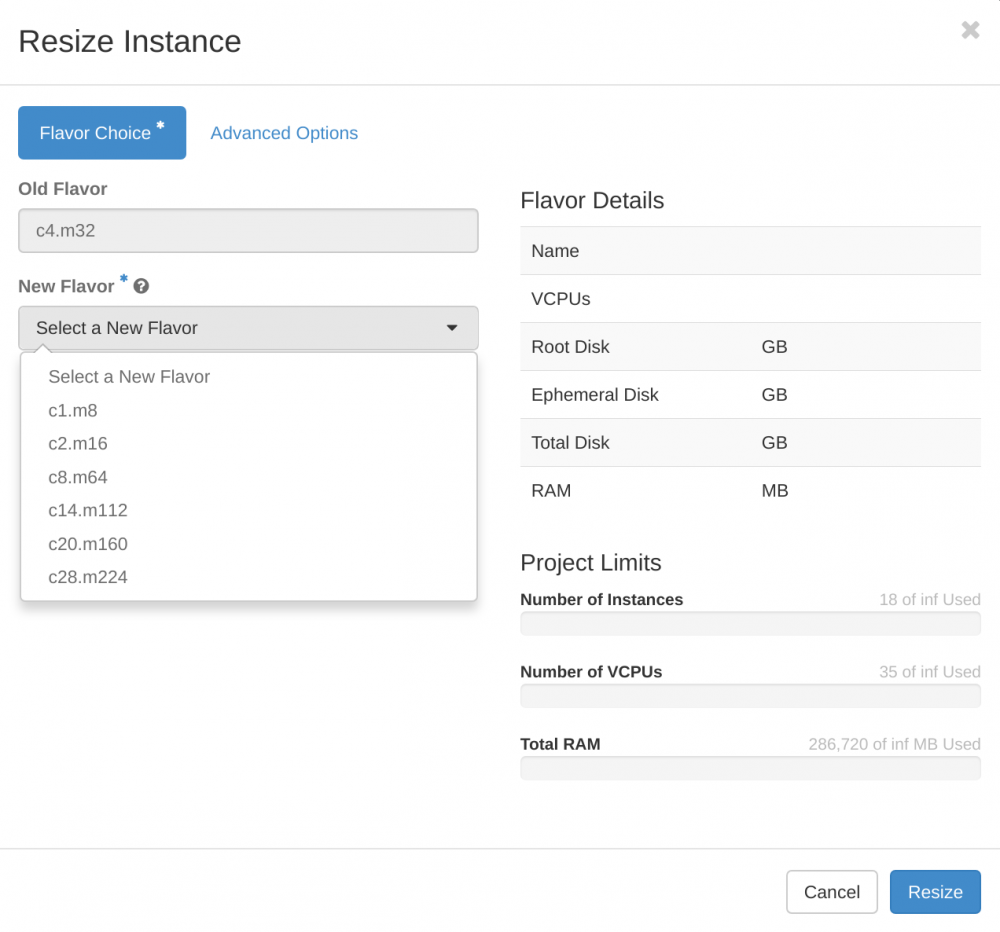 Resize Instance Dialog